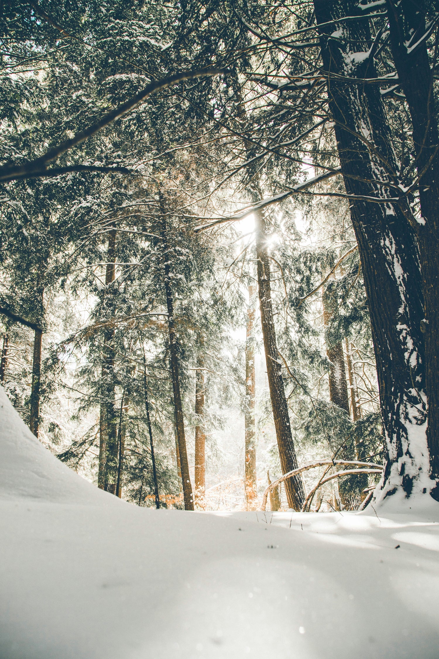 Winter collectie